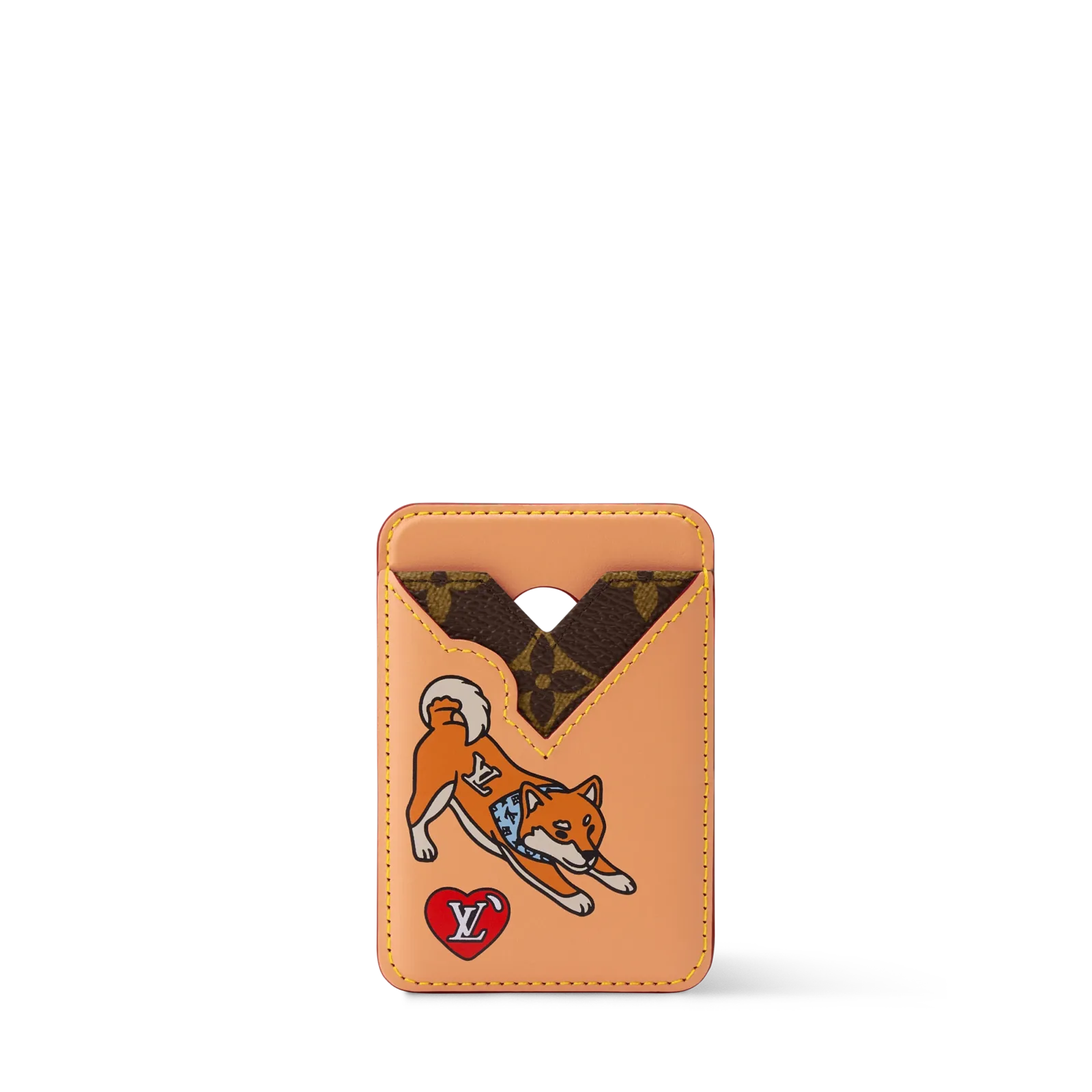 MAGNET card holder