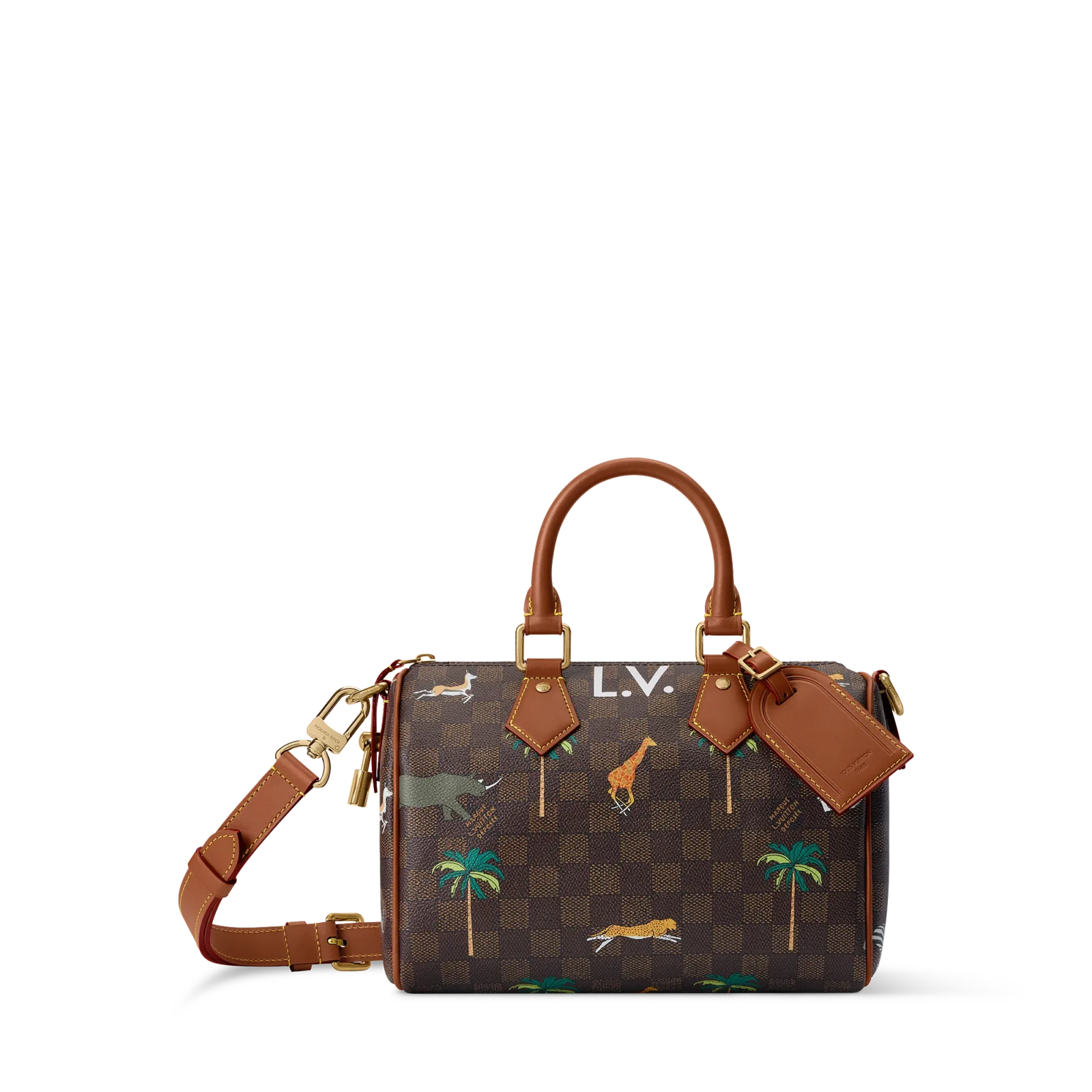 SPEEDY 25 BANDOULIÈRE Handbag - LV X THE DARJELING LIMITED Collection